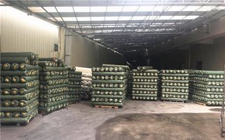 格利特新風尚 創坤金蔥粉皮革聯營百家革廠，點亮文藝創作之路